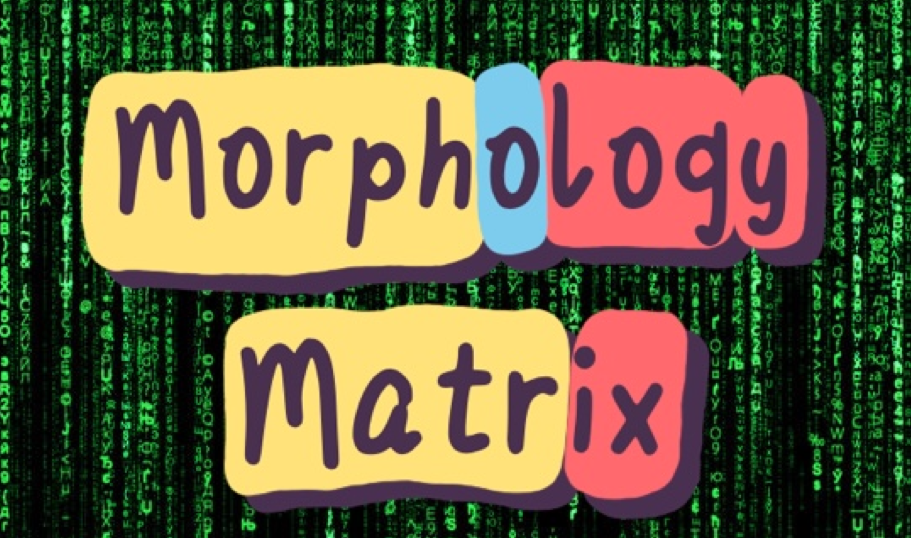 a banner title for the Rollama Morphology Matrix game mode