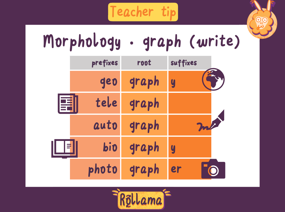 orderama-morphology-graph